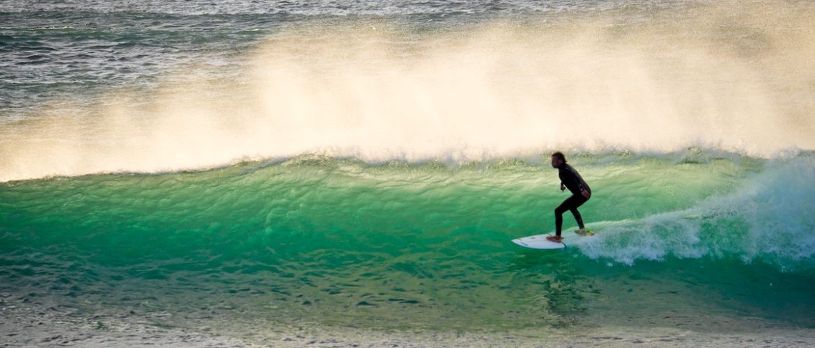 Palmera Surf